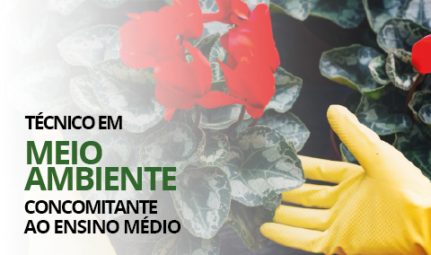 Meio Ambiente Concomitante